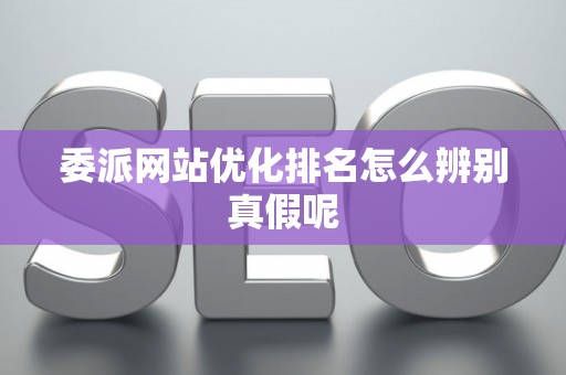 委派网站优化排名怎么辨别真假呢