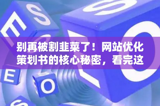 别再被割韭菜了！网站优化策划书的核心秘密，看完这篇省下几万块